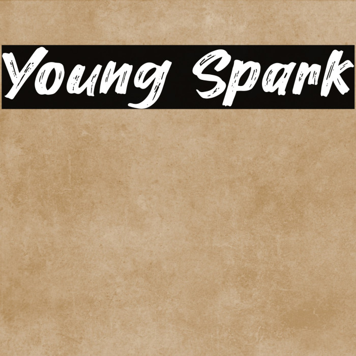 Young Spark Example 1