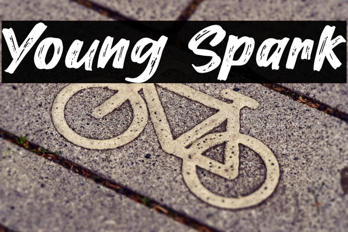 Young Spark Example 2