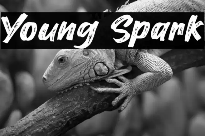 Young Spark Caratteri examples