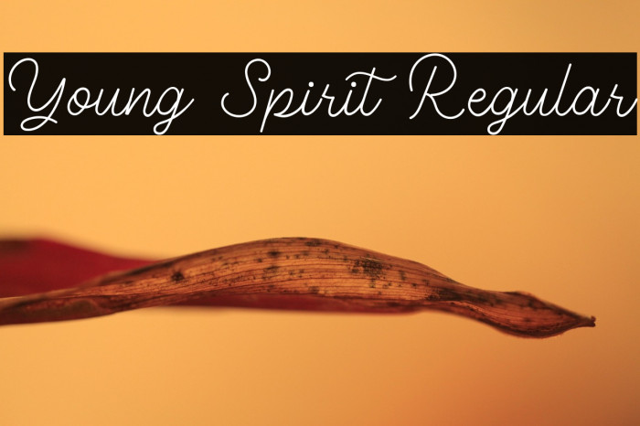 Young Spirit Regular Example 1