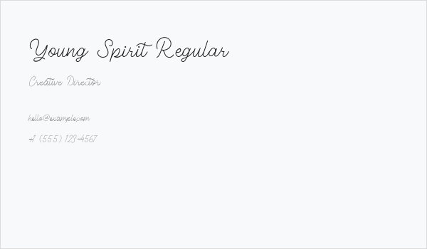 Young Spirit Regular Business Card