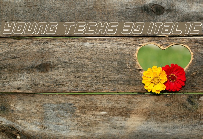 Young Techs 3D Italic Font examples