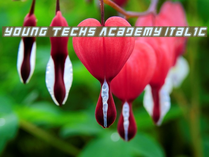 Young Techs Academy Italic Font examples