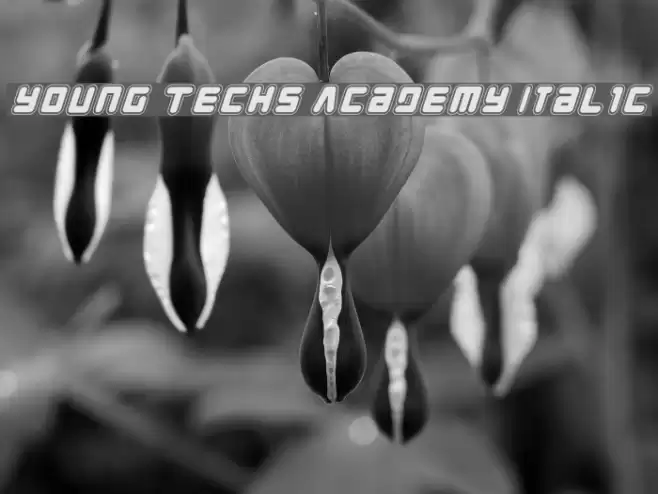 Young Techs Academy Italic Шрифта examples