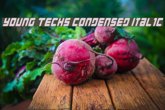 Young Techs Condensed Italic Polices examples