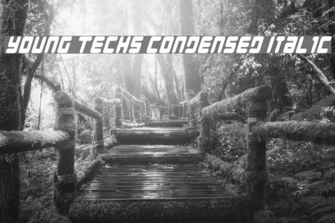 Young Techs Condensed Italic Font examples