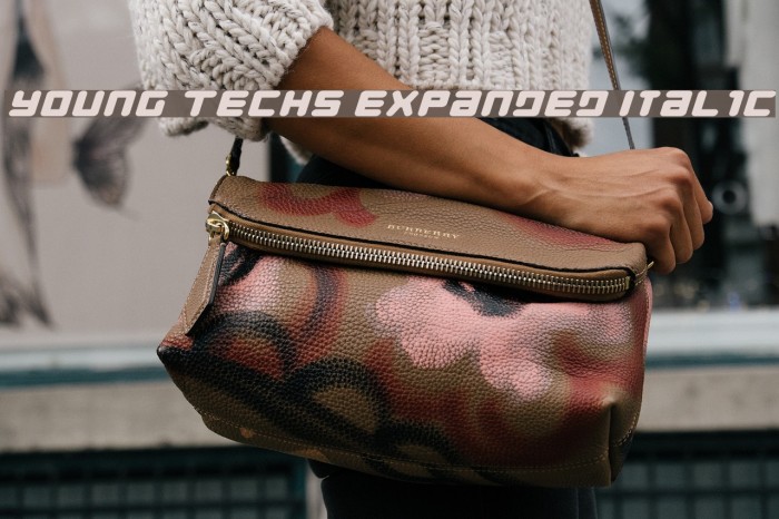 Young Techs Expanded Italic フォント examples