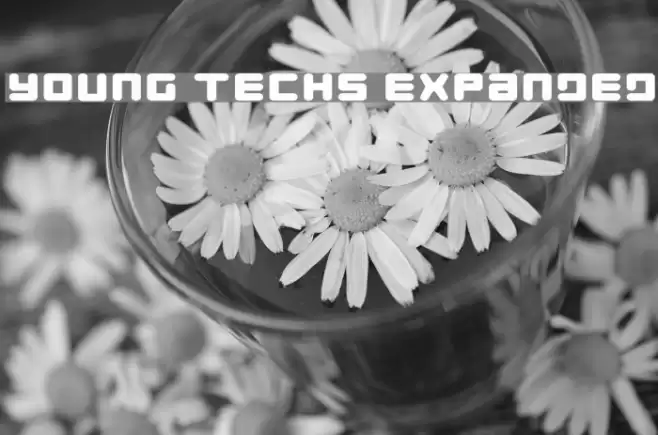 Young Techs Expanded Font examples