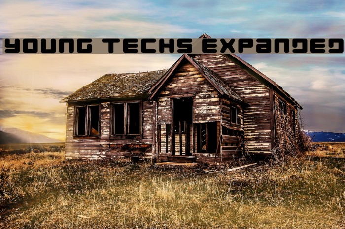 Young Techs Expanded Font examples