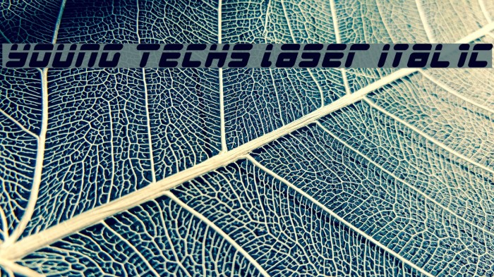 Young Techs Laser Italic Font examples