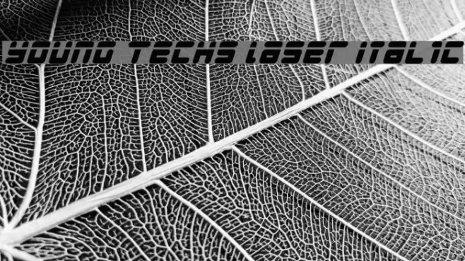 Young Techs Laser Italic Font examples
