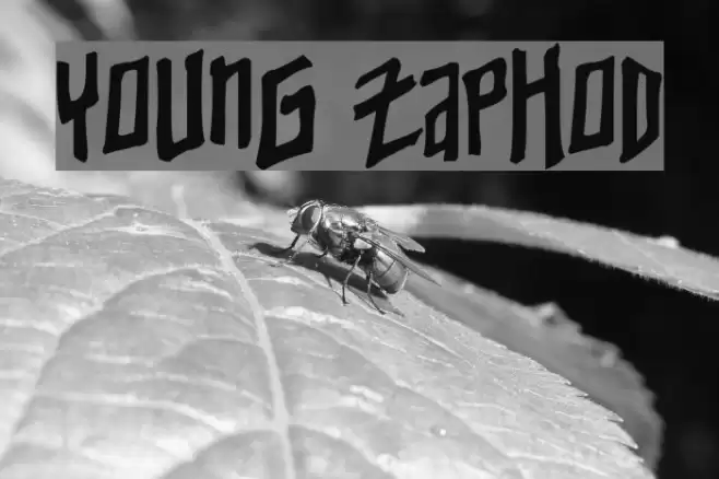 Young Zaphod Polices examples