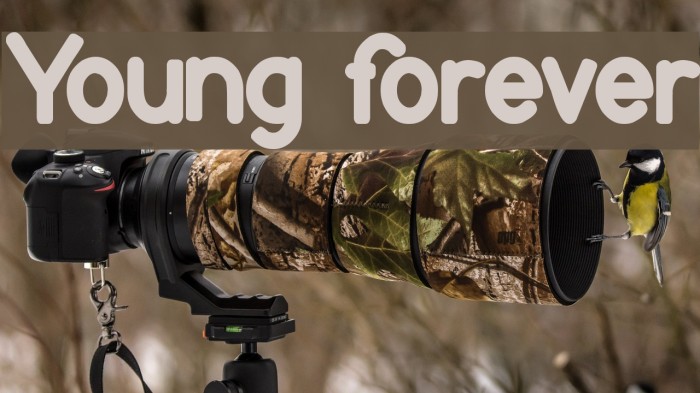 Young forever Font examples