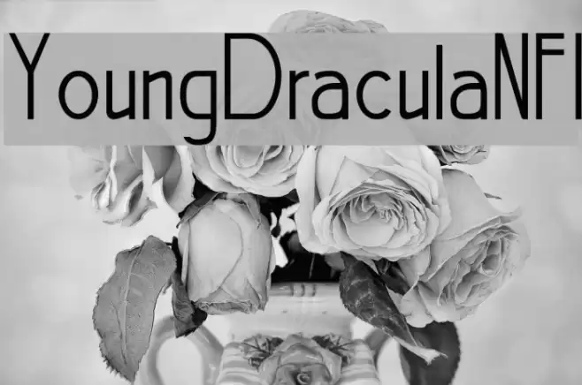 YoungDraculaNFI Font examples