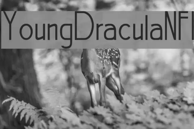 YoungDraculaNFI Font examples