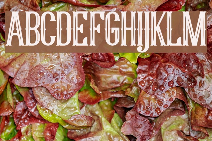 YoungHeart Example 1