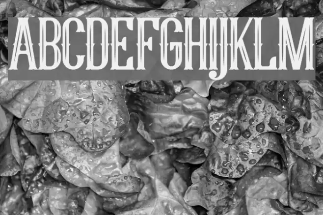 YoungHeart Font examples