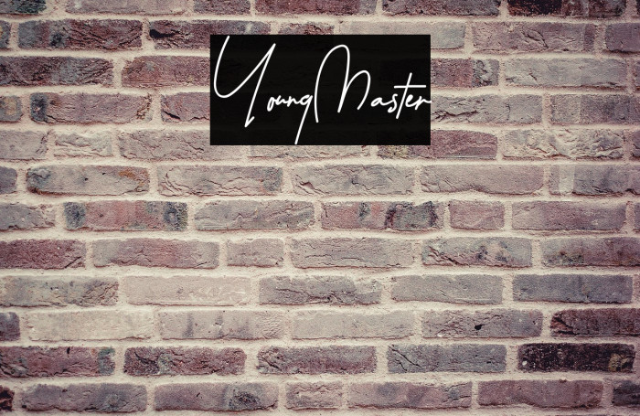 YoungMaster Example 1