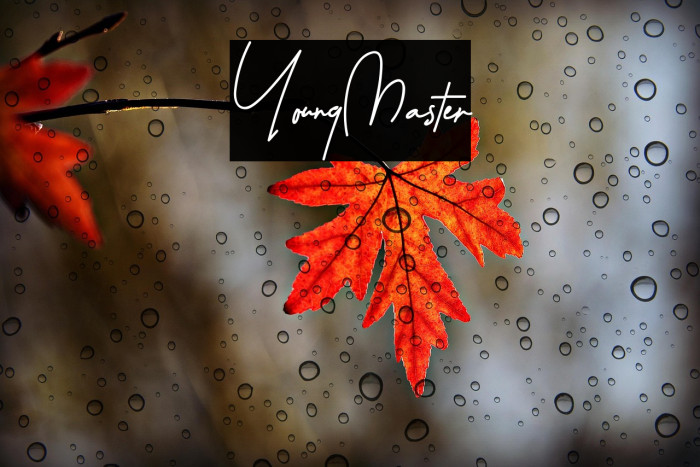 YoungMaster Example 3