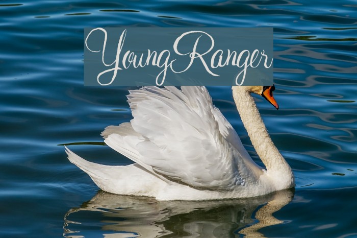 YoungRanger Font examples