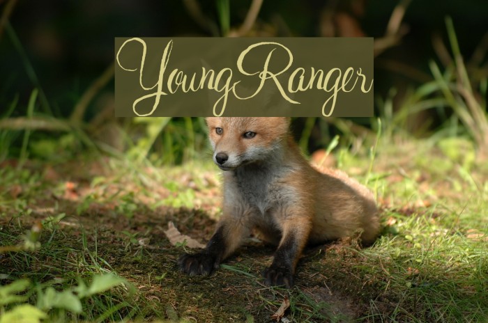 YoungRanger Font examples