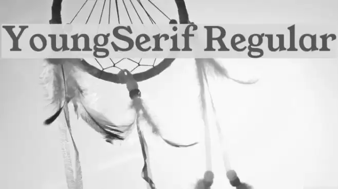 YoungSerif Regular Font examples