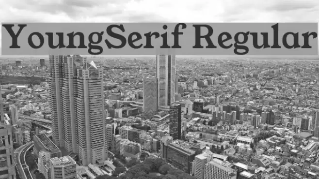 YoungSerif Regular Font examples