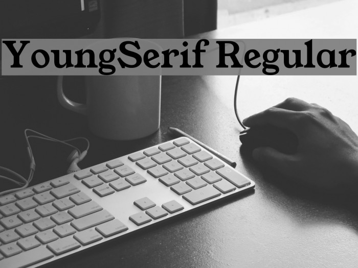 YoungSerif Regular Font examples