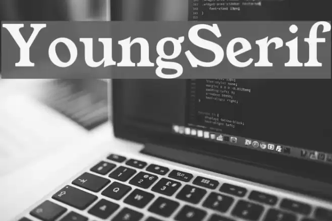 YoungSerif Font examples
