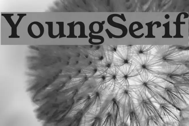 YoungSerif Font examples