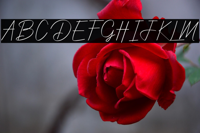 YoungSignature Example 3