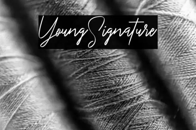 YoungSignature Font examples