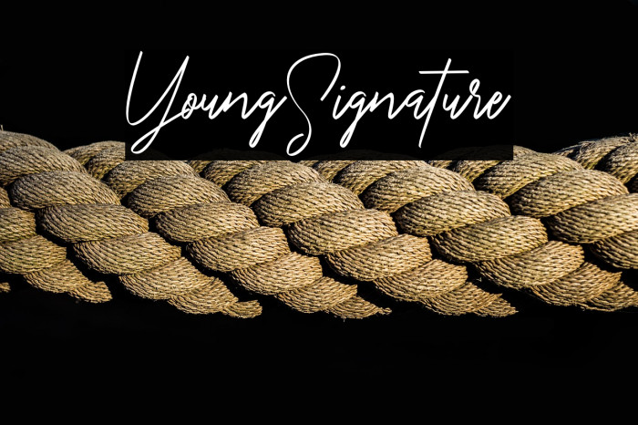 YoungSignature Example 3