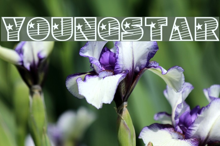 YoungStar Font examples