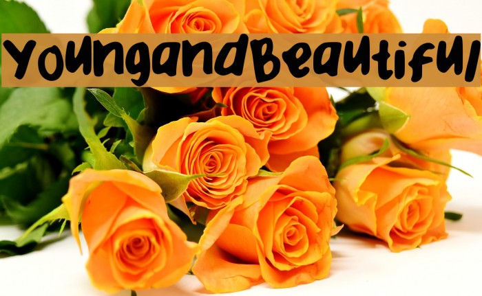 YoungandBeautiful Font examples