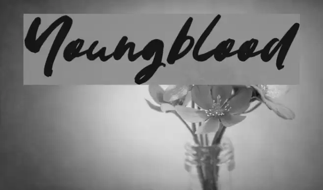 Youngblood Font examples
