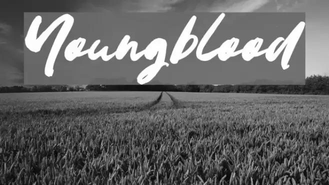 Youngblood Font examples