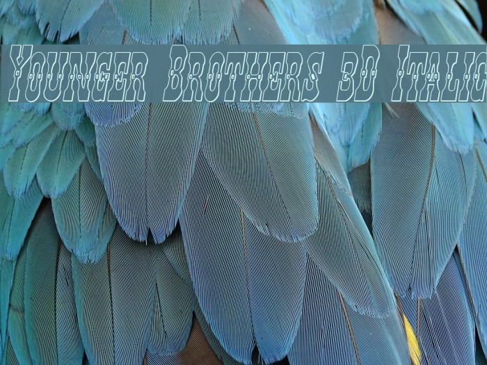 Younger Brothers 3D Italic Font examples