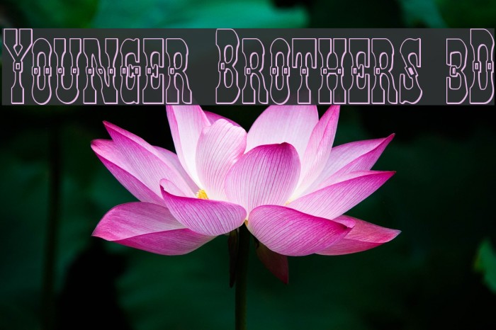 Younger Brothers 3D Font examples