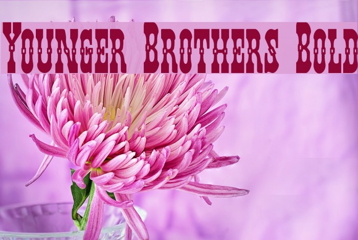 Younger Brothers Bold Font examples
