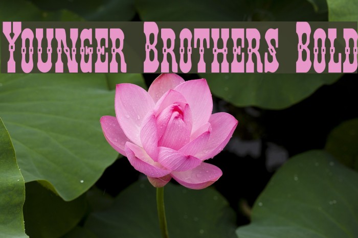 Younger Brothers Bold Font examples