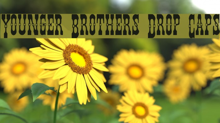 Younger Brothers Drop Caps لخطوط تنزيل examples