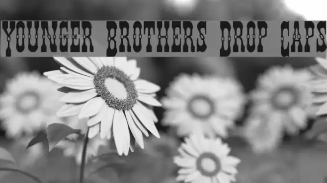 Younger Brothers Drop Caps خط examples