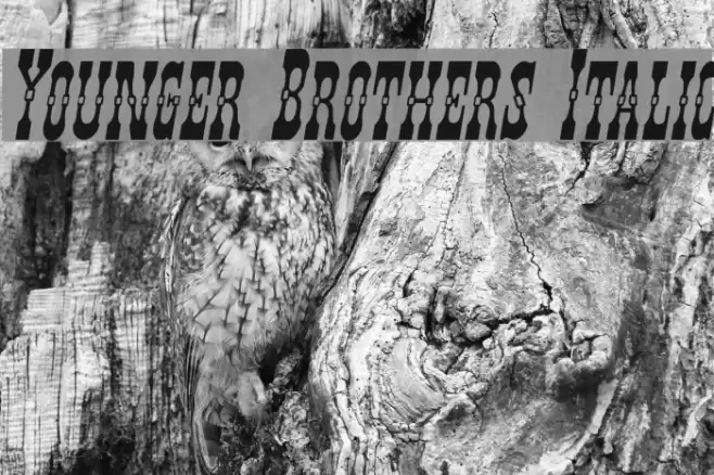 Younger Brothers Italic Font examples