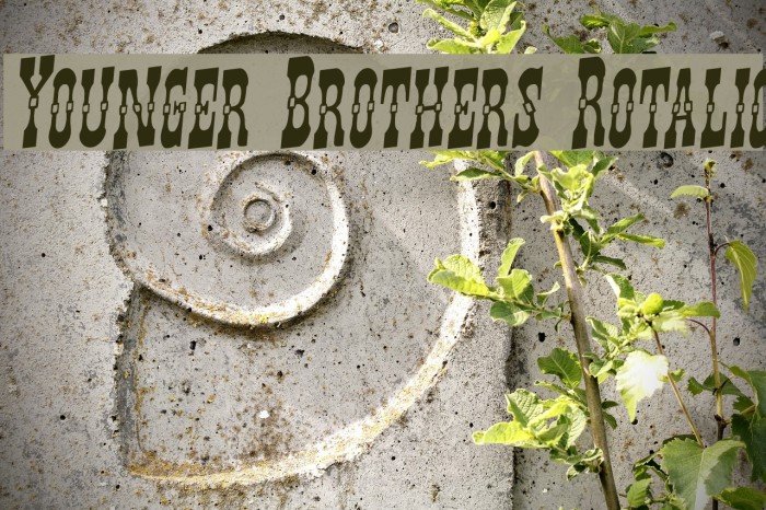 Younger Brothers Rotalic Font examples