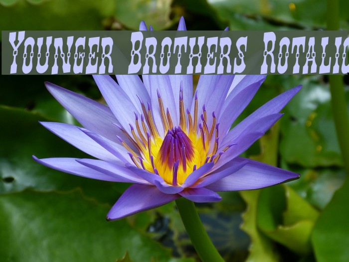 Younger Brothers Rotalic Font examples