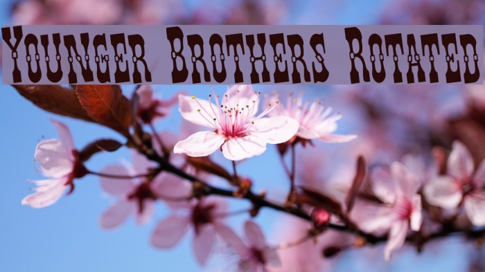 Younger Brothers Rotated Example 1