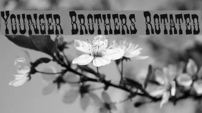 Younger Brothers Rotated Font examples