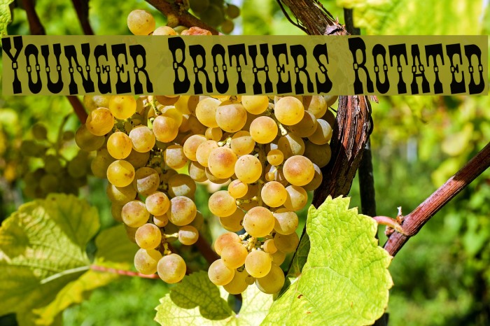 Younger Brothers Rotated Example 2