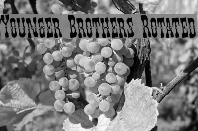 Younger Brothers Rotated Font examples